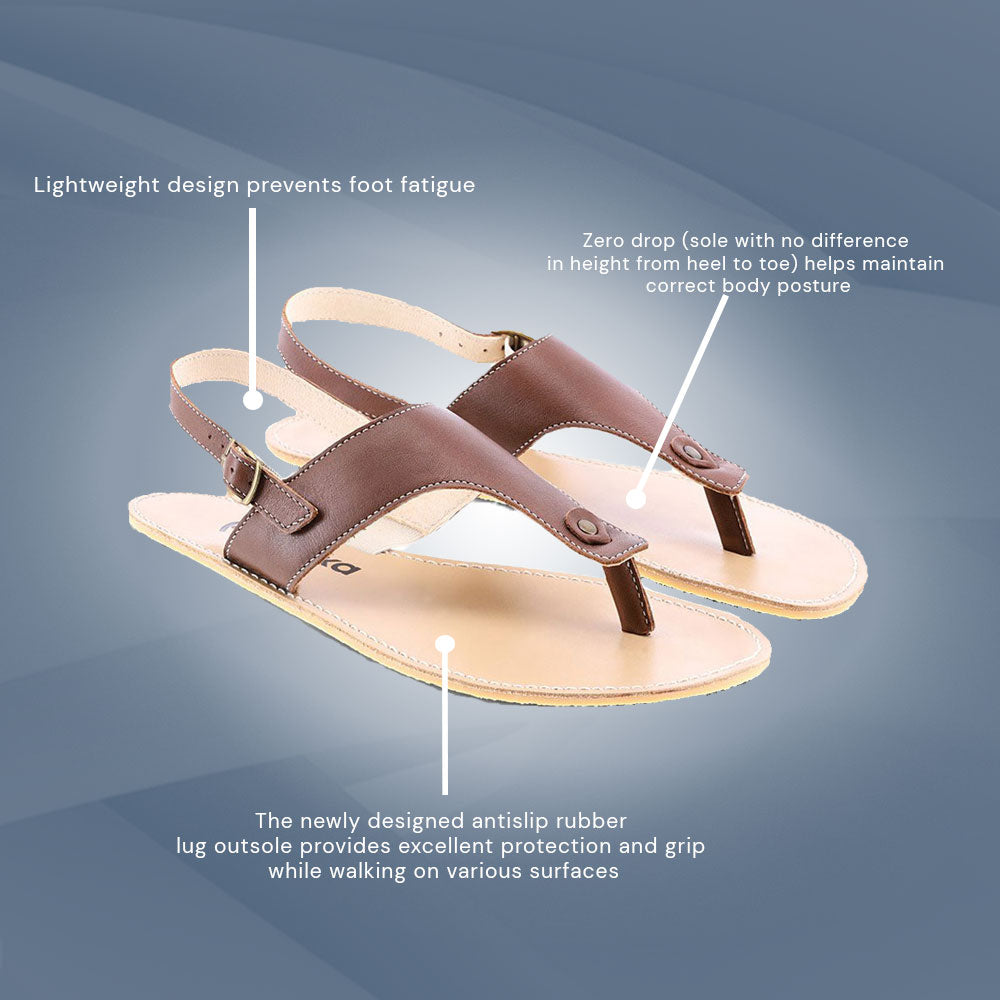 Be Lenka - Promenade - Dark Brown (Womens)