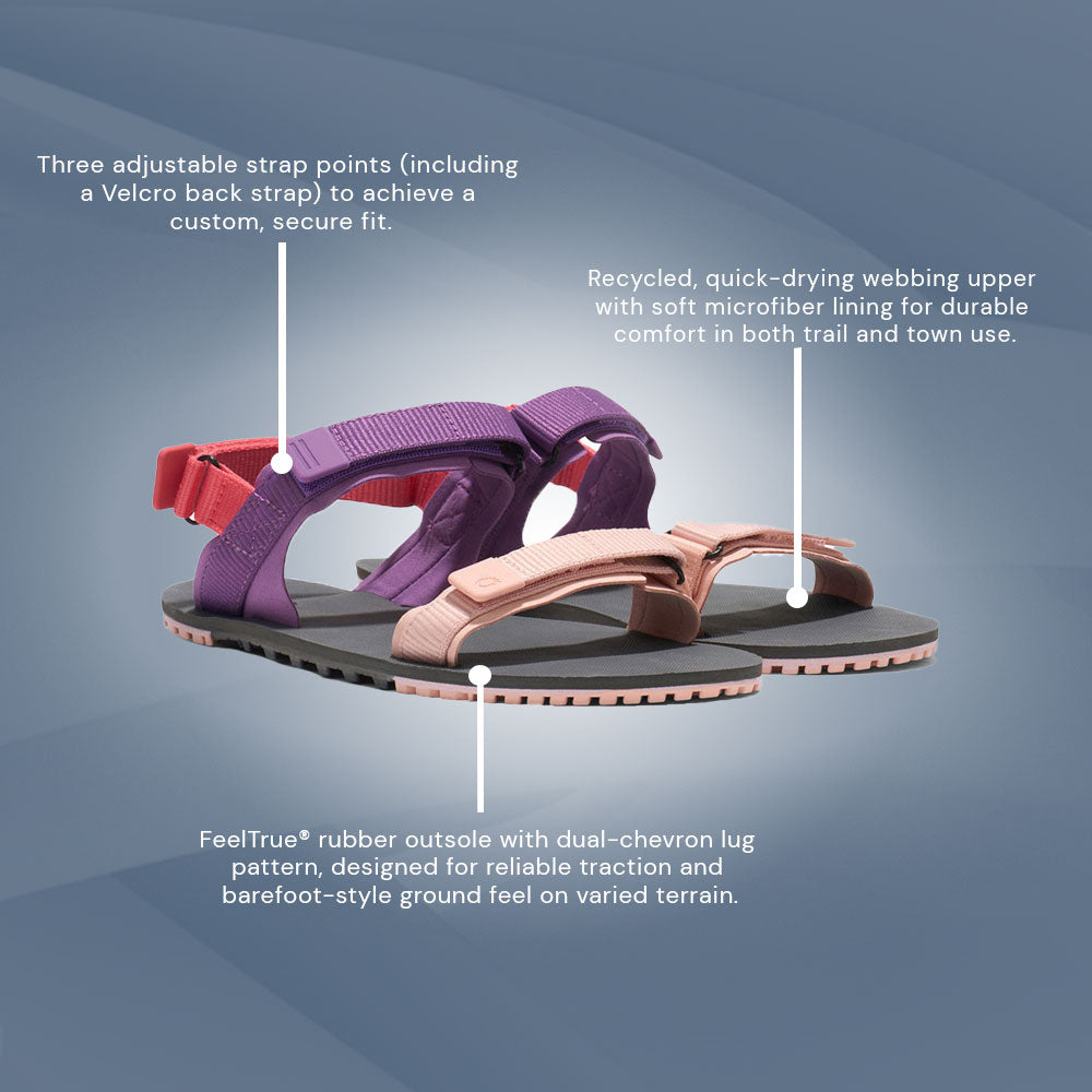 XeroShoes - D-Trail - Womens - Dewberry Multi