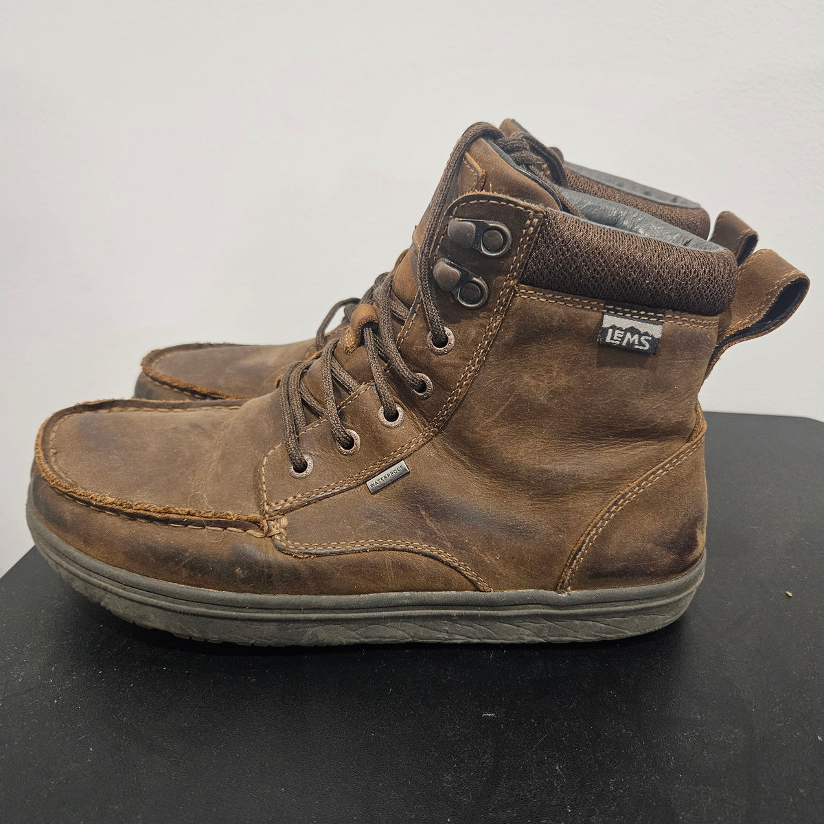 1000050148.jpg