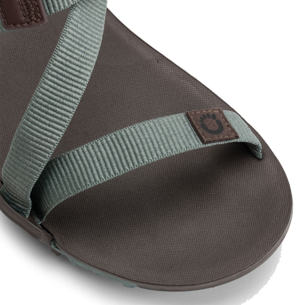 XeroShoes - Z-Trail EV - Mens - Dark Forest / Java Brown