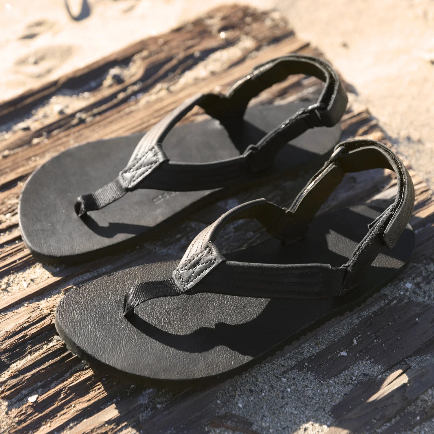 Shamma - Pacific Avenue - Leather - Black (Unisex)