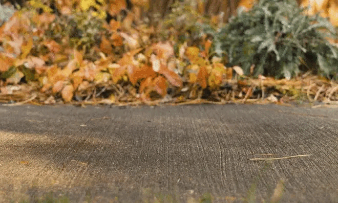 Video close-up of a person walking on a path outside wearing black zero-drop Lems barefoot shoes with lightweight, flexible outsoles.