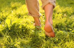 Your First Step to Foot Freedom: How to Choose the Right Barefoot Shoes for Beginners