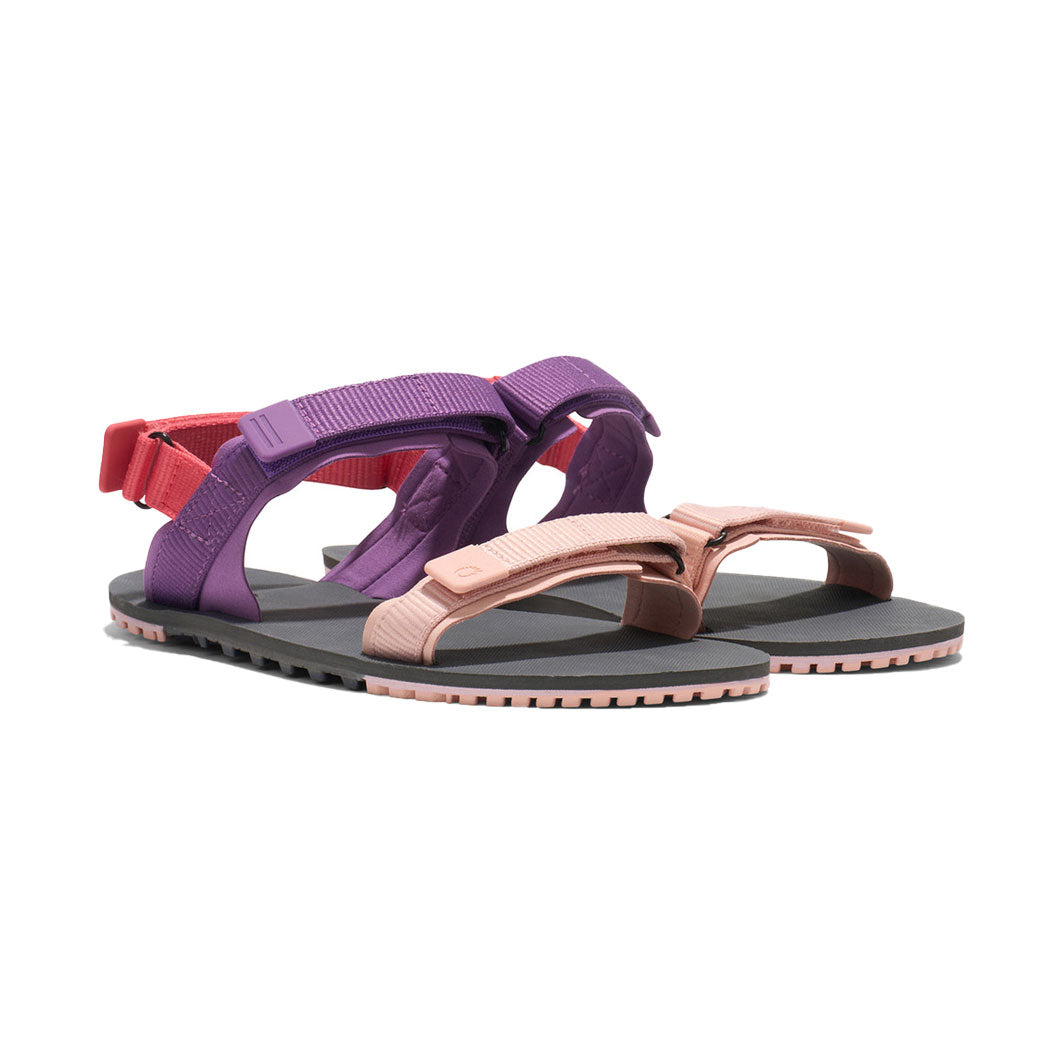 XeroShoes - D-Trail - Womens - Dewberry Multi