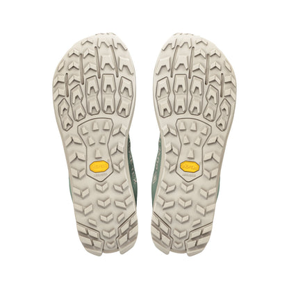 Altra - Lone Peak 9+ GTX Waterproof - Sea Spray/Island Fossil - Mens