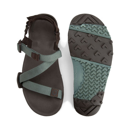 XeroShoes - Z-Trail EV - Mens - Dark Forest / Java Brown