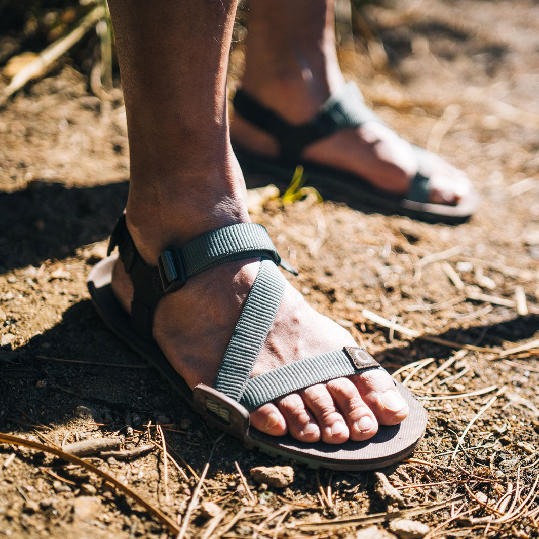 XeroShoes - Z-Trail EV - Mens - Dark Forest / Java Brown