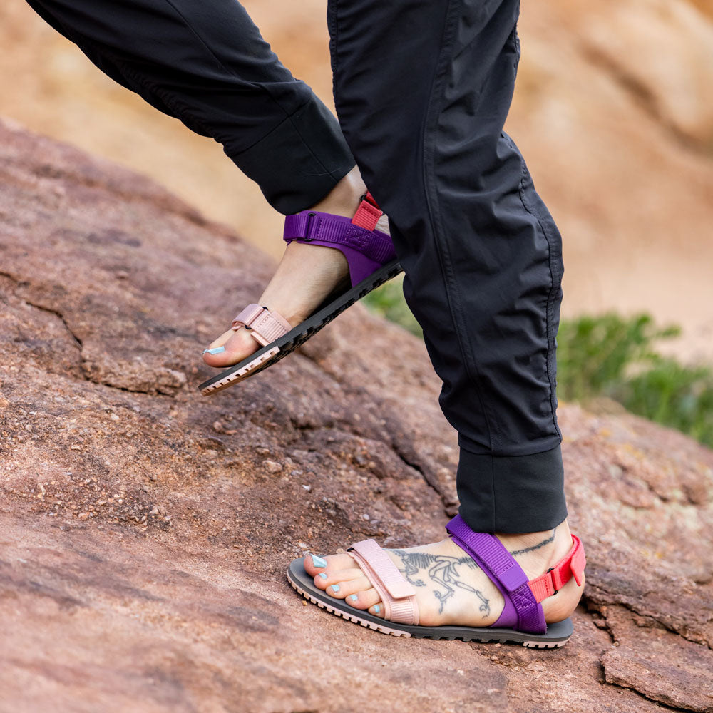 XeroShoes - D-Trail - Womens - Dewberry Multi