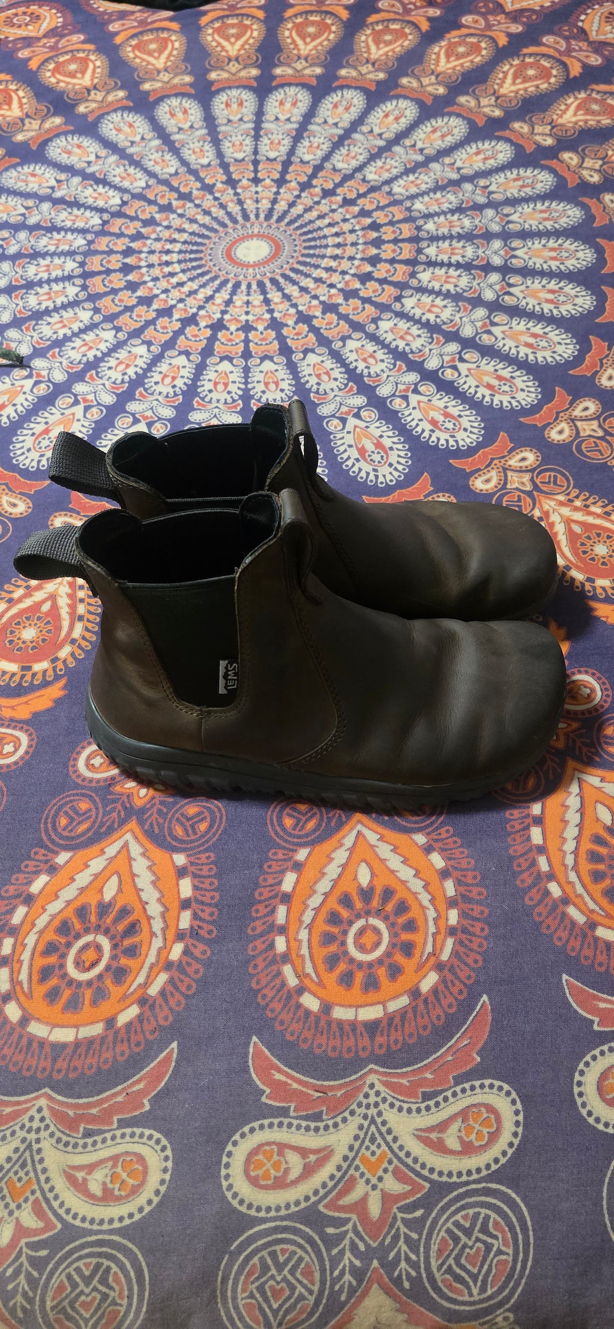 12480.jpg
